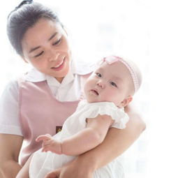 保屯路家政 从店铺装修到服务展示，打造专业信赖的家政服务品牌