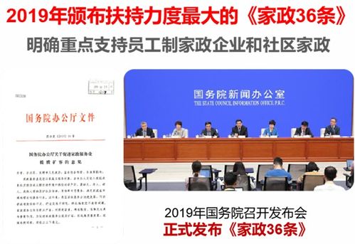 51家庭管家 零经验投身家政行业蓝海，快速入门的实战指南